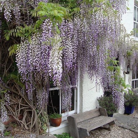 Half Moon House Leilighet Hay-On-Wye Eksteriør bilde