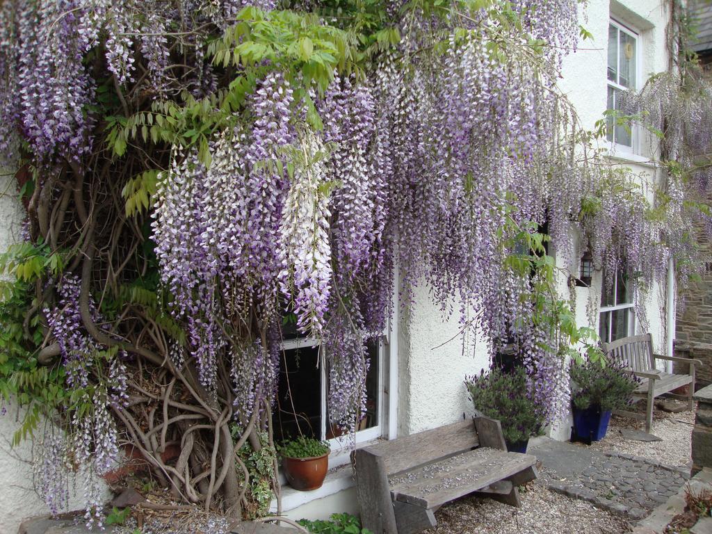 Half Moon House Leilighet Hay-On-Wye Eksteriør bilde